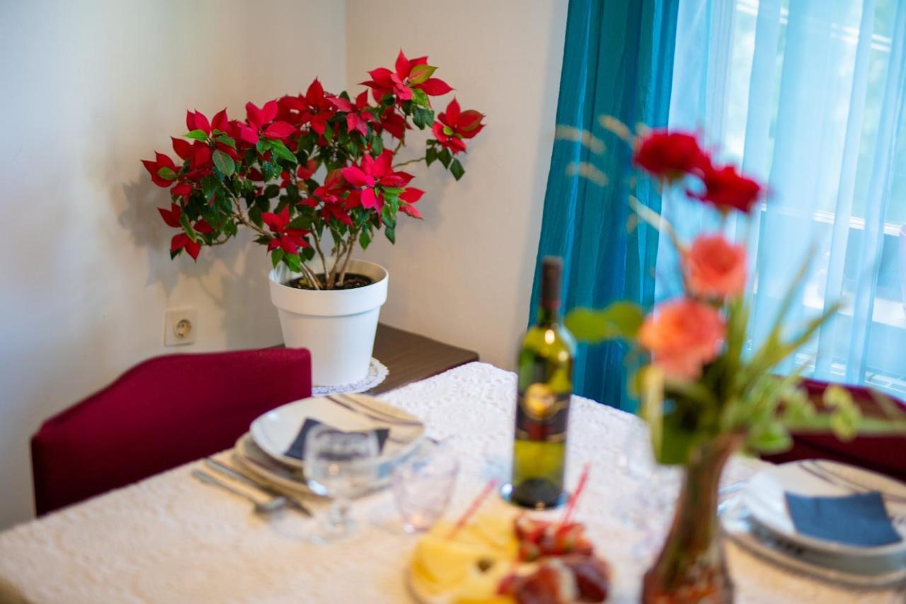 Apartman Mihael Малинська Екстер'єр фото